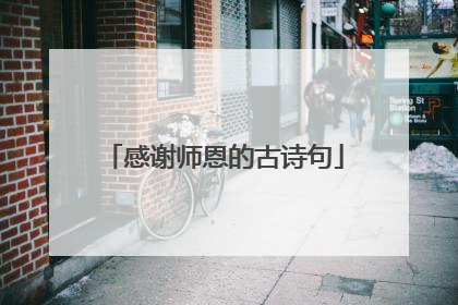 感谢师恩的古诗句