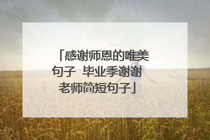 感谢师恩的唯美句子 毕业季谢谢老师简短句子