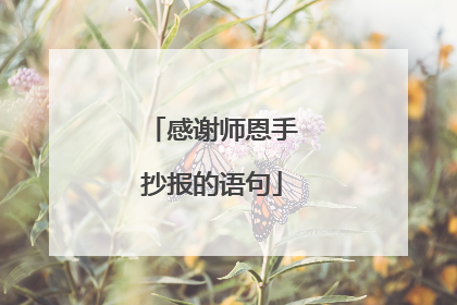 感谢师恩手抄报的语句