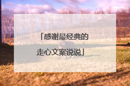 感谢最经典的走心文案说说