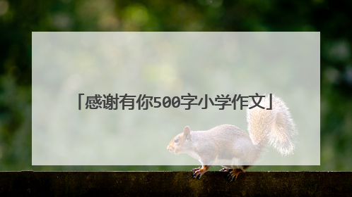 感谢有你500字小学作文