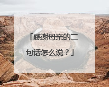 感谢母亲的三句话怎么说?