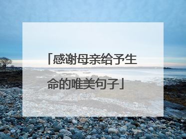 感谢母亲给予生命的唯美句子