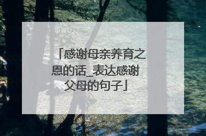感谢母亲养育之恩的话_表达感谢父母的句子