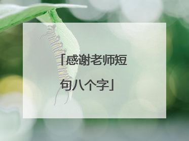 感谢老师短句八个字