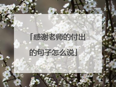 感谢老师的付出的句子怎么说