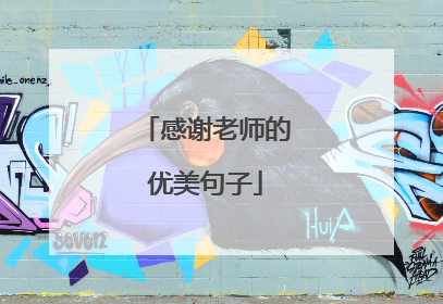 感谢老师的优美句子
