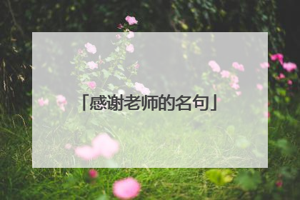 感谢老师的名句