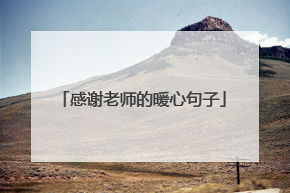 感谢老师的暖心句子
