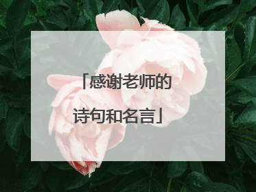 感谢老师的诗句和名言
