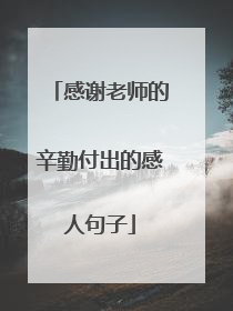 感谢老师的辛勤付出的感人句子