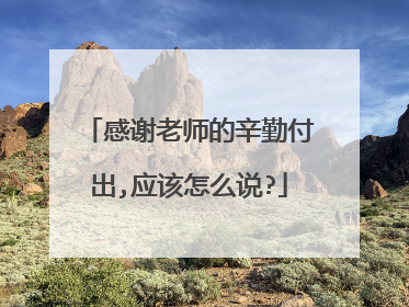 感谢老师的辛勤付出,应该怎么说?