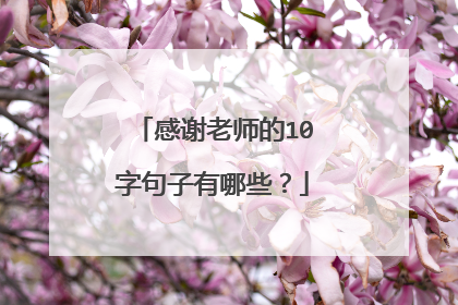 感谢老师的10字句子有哪些？
