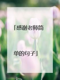 感谢老师简单的句子