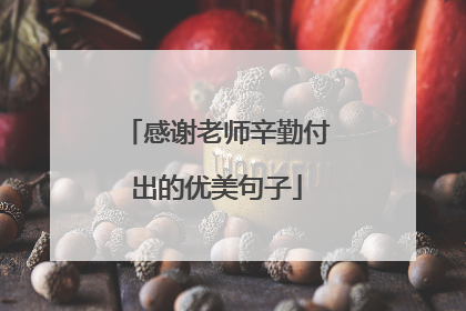 感谢老师辛勤付出的优美句子