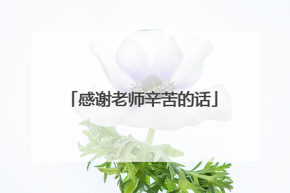 感谢老师辛苦的话