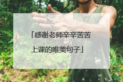 感谢老师辛辛苦苦上课的唯美句子