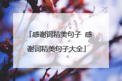 感谢词精美句子 感谢词精美句子大全