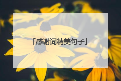 感谢词精美句子
