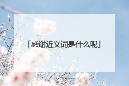 感谢近义词是什么呢