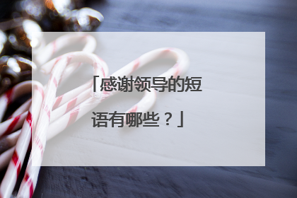 感谢领导的短语有哪些?