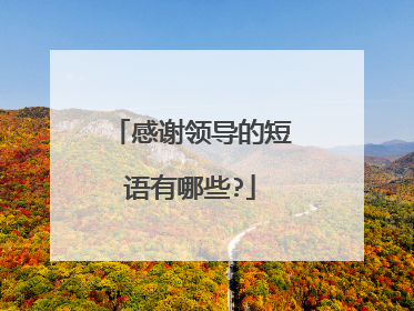 感谢领导的短语有哪些?