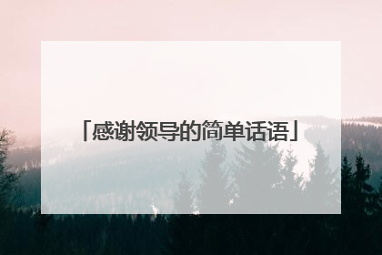 感谢领导的简单话语