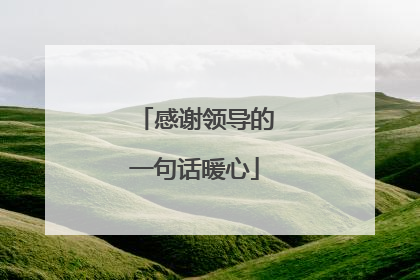 感谢领导的一句话暖心