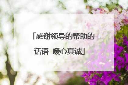 感谢领导的帮助的话语 暖心真诚
