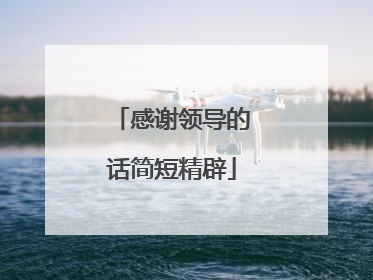 感谢领导的话简短精辟