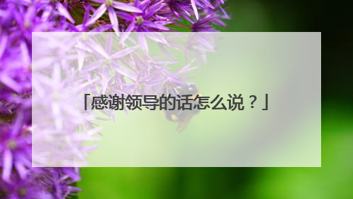 感谢领导的话怎么说？
