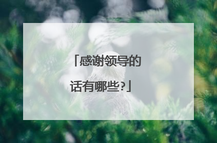 感谢领导的话有哪些?