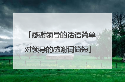 感谢领导的话语简单对领导的感谢词简短