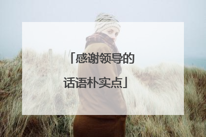 感谢领导的话语朴实点