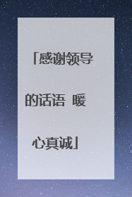 感谢领导的话语 暖心真诚