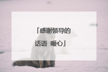 感谢领导的话语 暖心