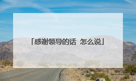 感谢领导的话 怎么说