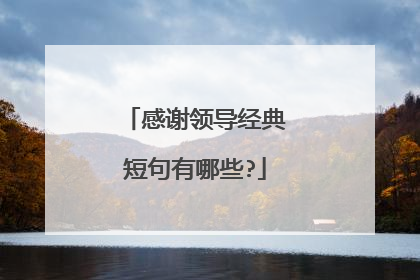 感谢领导经典短句有哪些?