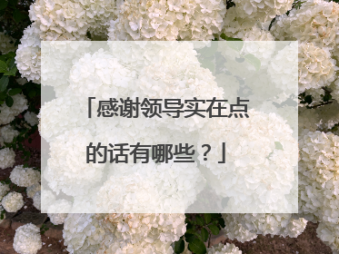 感谢领导实在点的话有哪些？