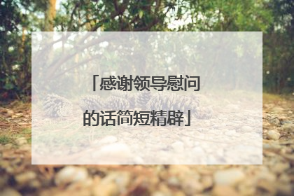 感谢领导慰问的话简短精辟