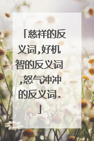 慈祥的反义词,好机智的反义词,怒气冲冲的反义词.