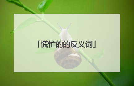 慌忙的的反义词