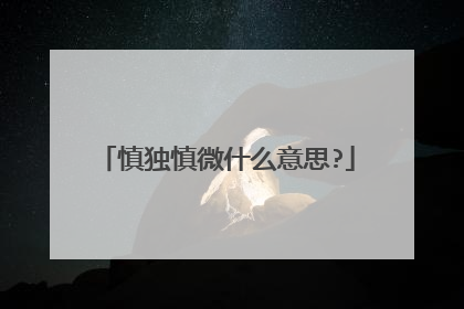 慎独慎微什么意思?