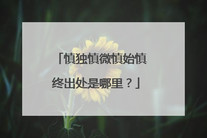 慎独慎微慎始慎终出处是哪里?