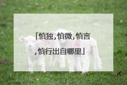 慎独,慎微,慎言,慎行出自哪里