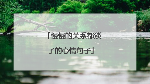 慢慢的关系都淡了的心情句子