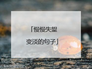 慢慢失望 变淡的句子