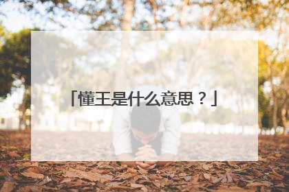 懂王是什么意思?