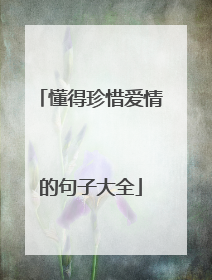 懂得珍惜爱情的句子大全