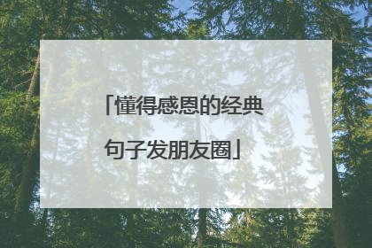 懂得感恩的经典句子发朋友圈